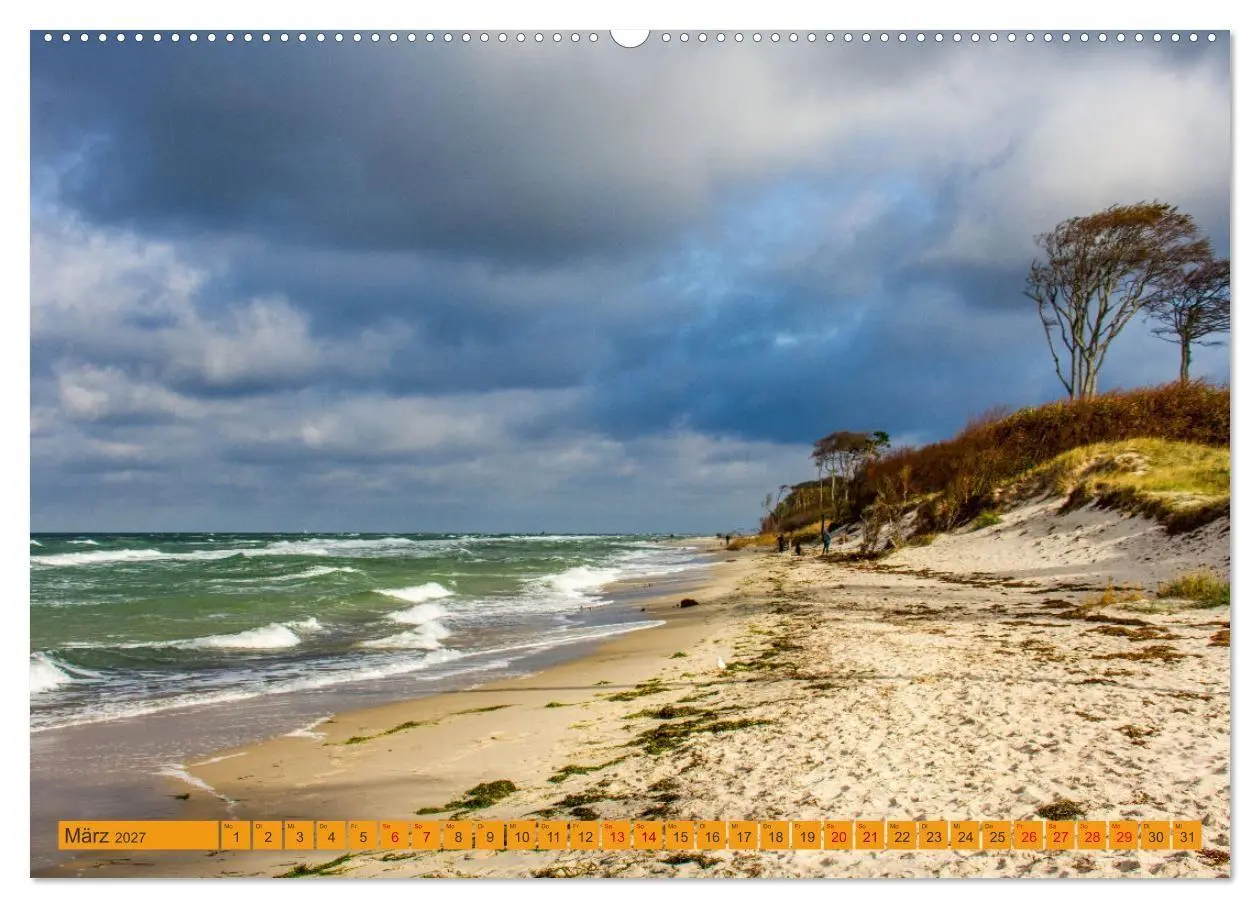 Bild: 9783516795011 | Wilder Darßer Weststrand (Wandkalender 2027 DIN A2 quer), CALVENDO...