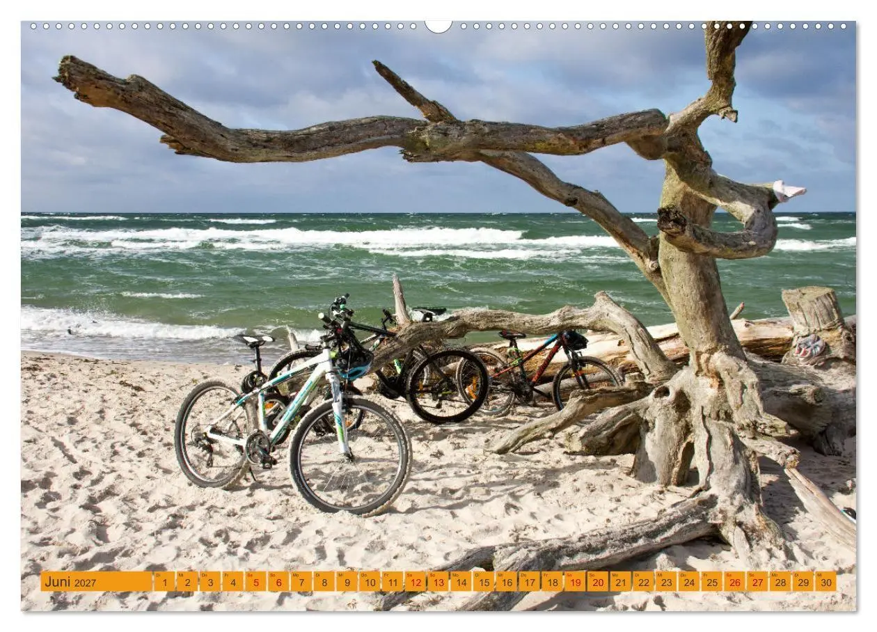Bild: 9783516795011 | Wilder Darßer Weststrand (Wandkalender 2027 DIN A2 quer), CALVENDO...