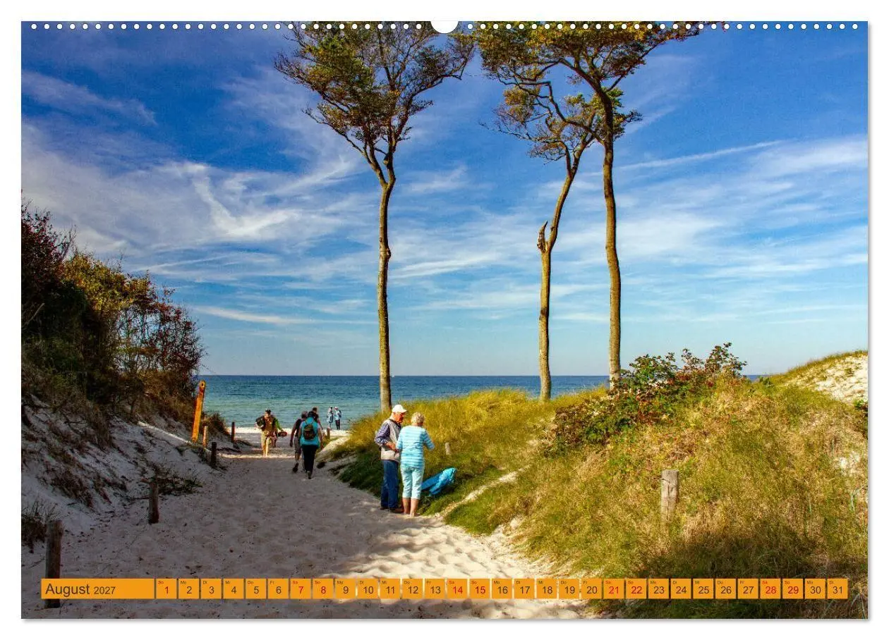 Bild: 9783516795011 | Wilder Darßer Weststrand (Wandkalender 2027 DIN A2 quer), CALVENDO...
