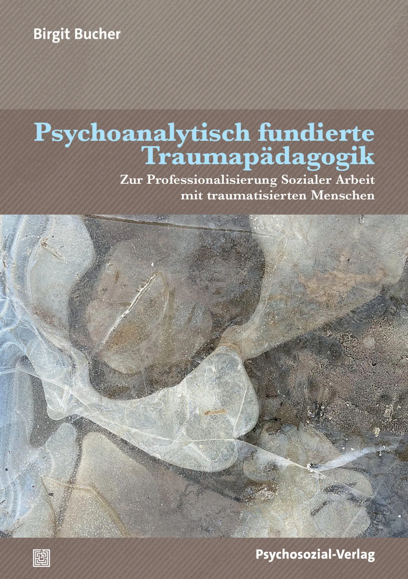 Cover: 9783837935011 | Psychoanalytisch fundierte Traumapädagogik | Birgit Bucher | Buch