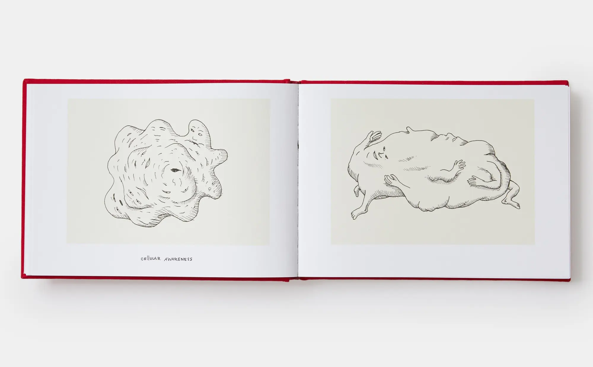 Bild: 9781838665111 | A History of the World (in Dingbats) | Drawings &amp; Words | David Byrne