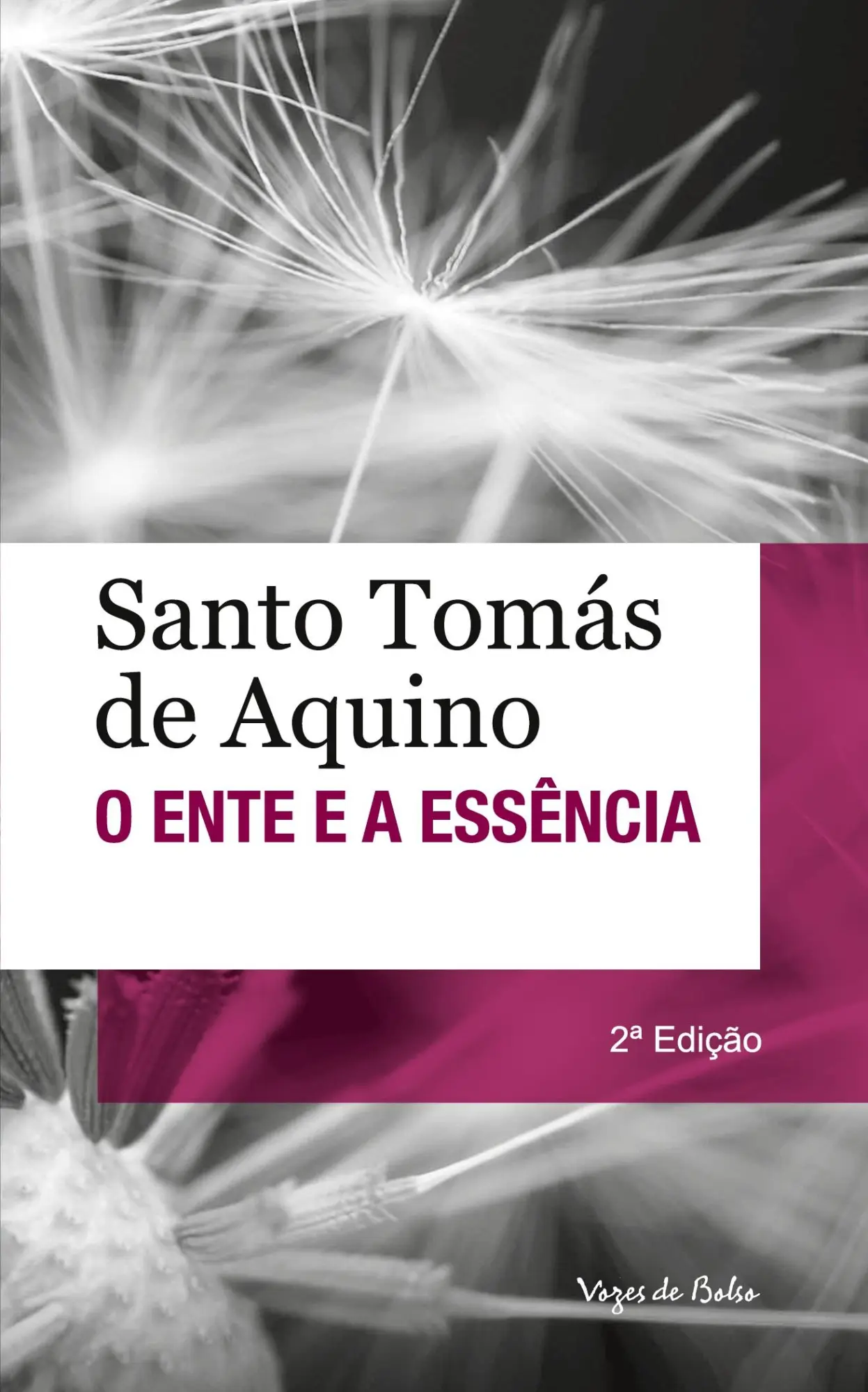 Ente e a essência