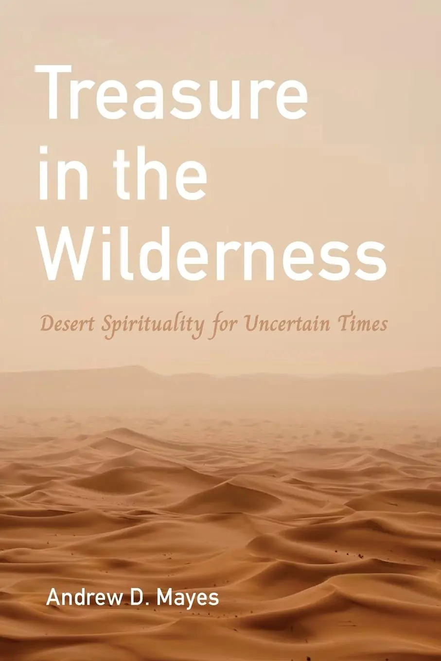 Cover: 9781666775211 | Treasure in the Wilderness | Andrew D. Mayes | Taschenbuch | Englisch