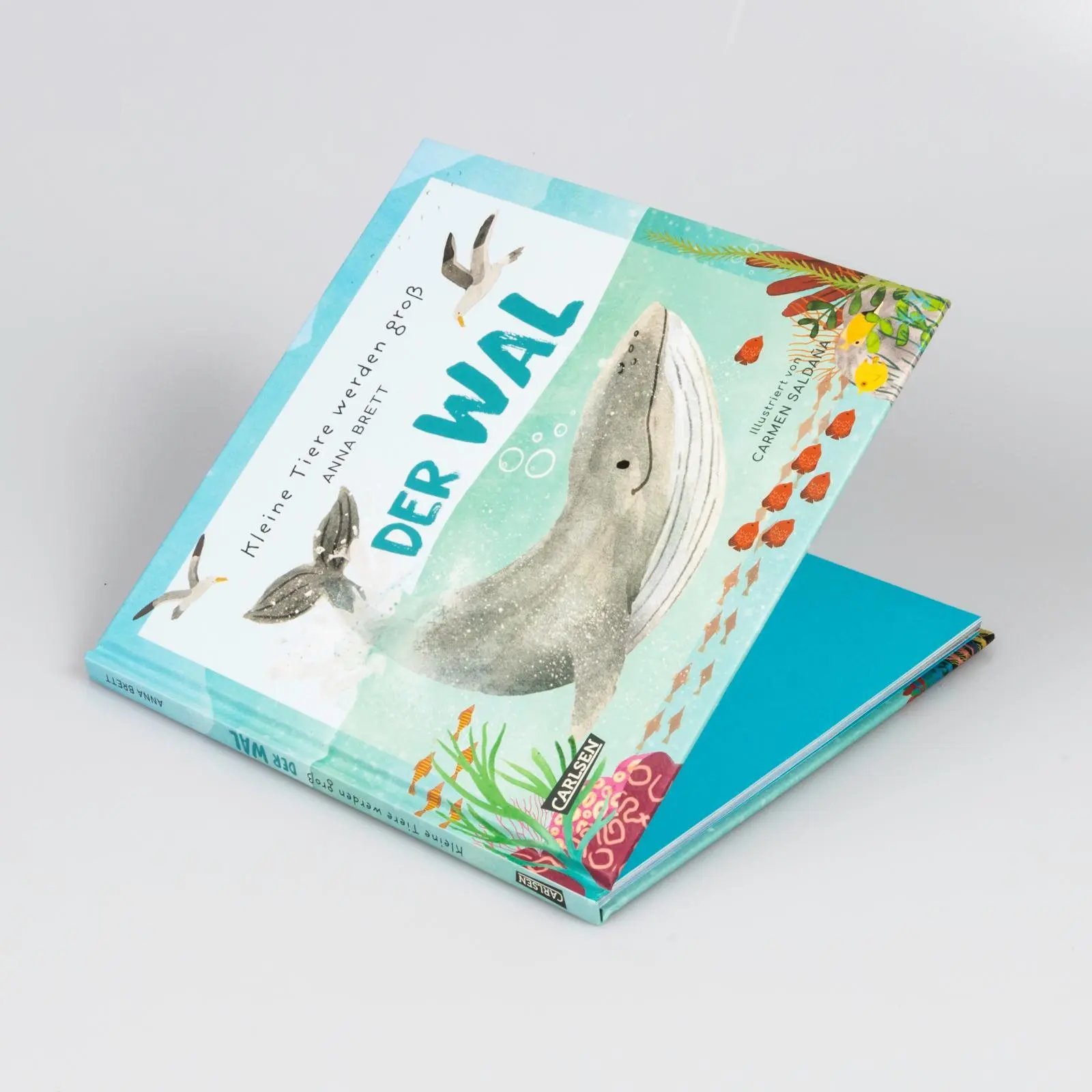 Bild: 9783551255211 | Kleine Tiere werden groß - Der Wal | Anna Brett | Buch | 48 S. | 2024