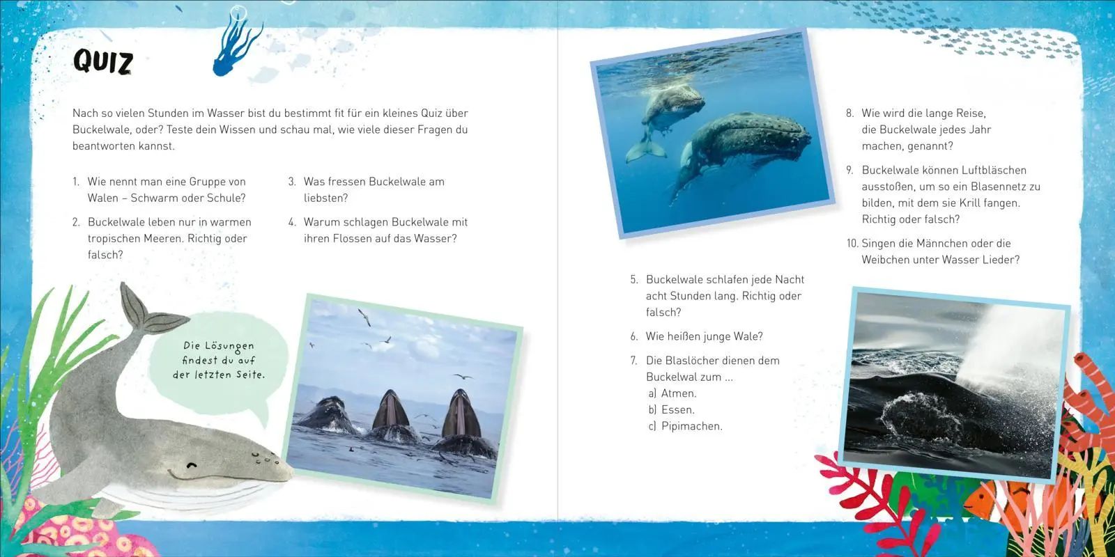 Bild: 9783551255211 | Kleine Tiere werden groß - Der Wal | Anna Brett | Buch | 48 S. | 2024