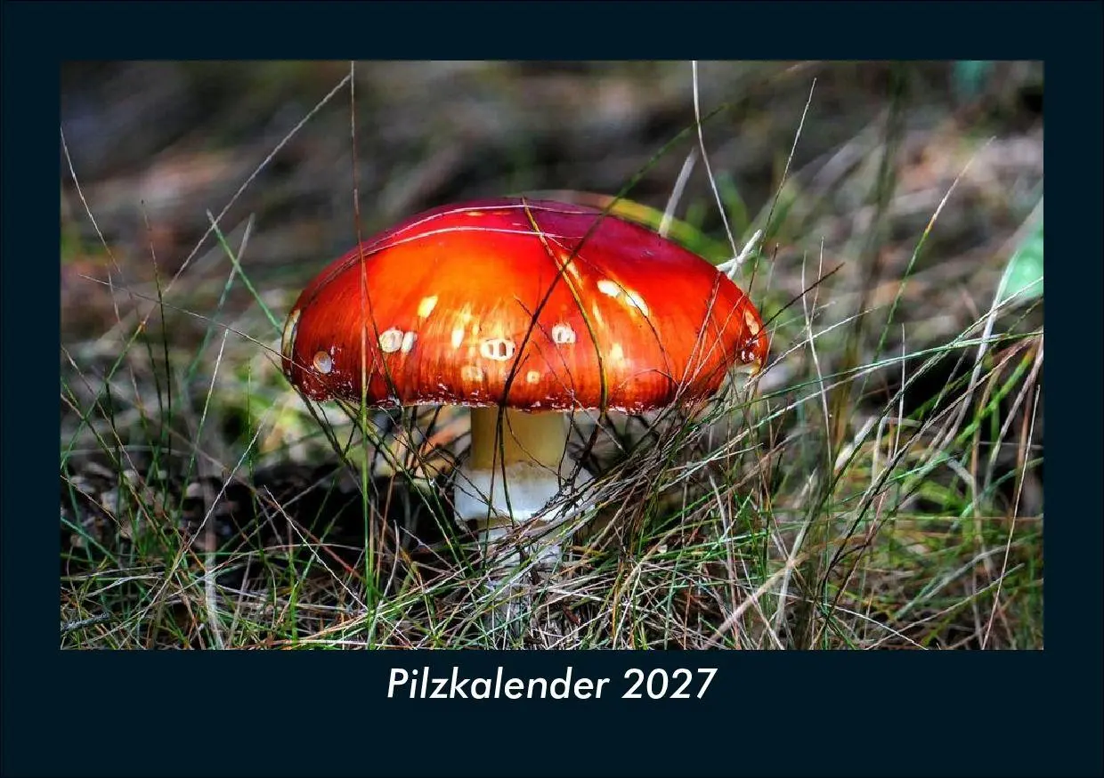 Cover: 9783695425211 | Pilzkalender 2027 Fotokalender DIN A5 | Tobias Schmitt (u. a.) | 2027