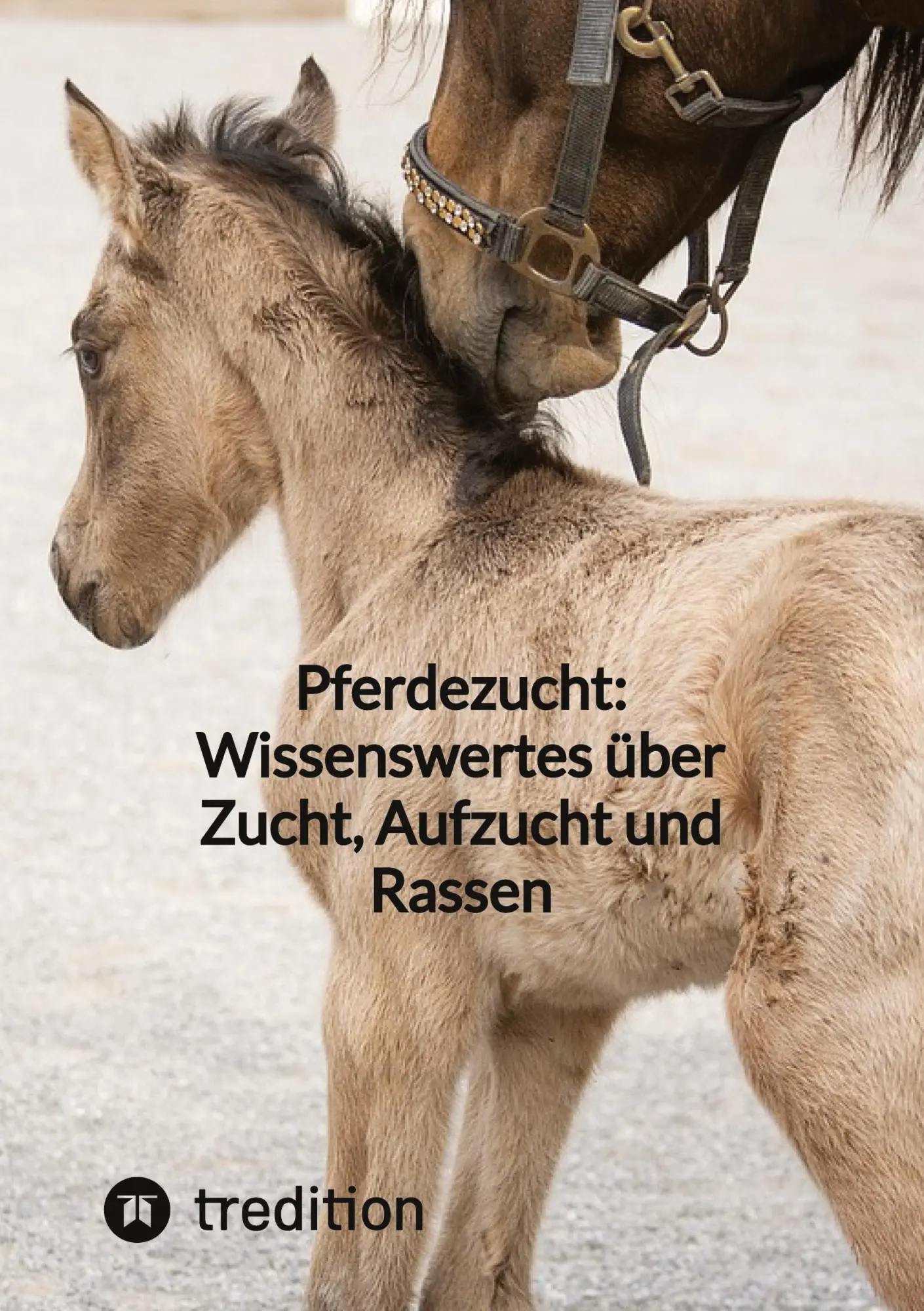 Cover: 9783347855311 | Pferdezucht: Wissenswertes über Zucht, Aufzucht und Rassen | Moritz