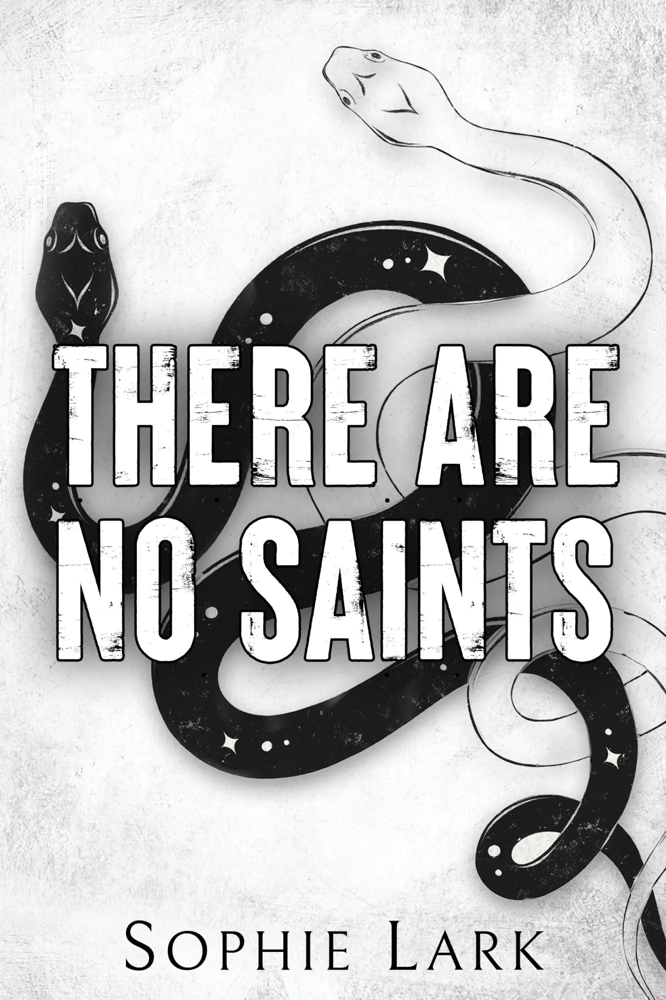 Cover: 9781728295411 | There Are No Saints | Sophie Lark | Taschenbuch | Sinners Duet | 2023