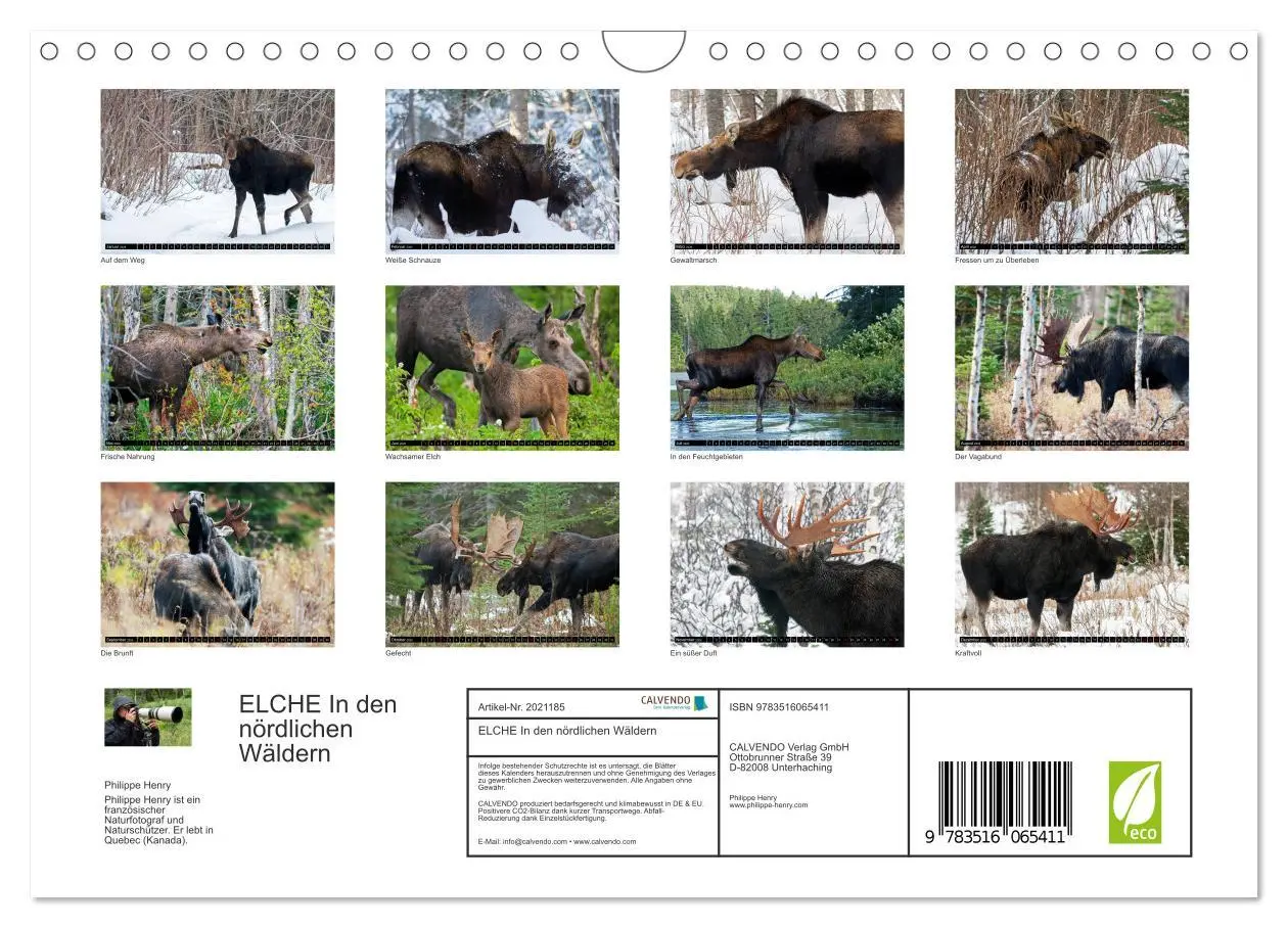 Bild: 9783516065411 | ELCHE In den nördlichen Wäldern (Wandkalender 2026 DIN A4 quer),...