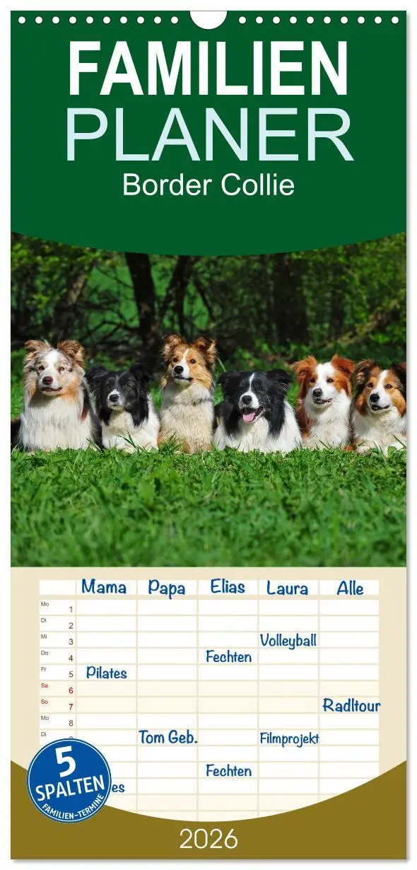 Cover: 9783516515411 | Familienplaner 2026 - Border Collie 2026 mit 5 Spalten...