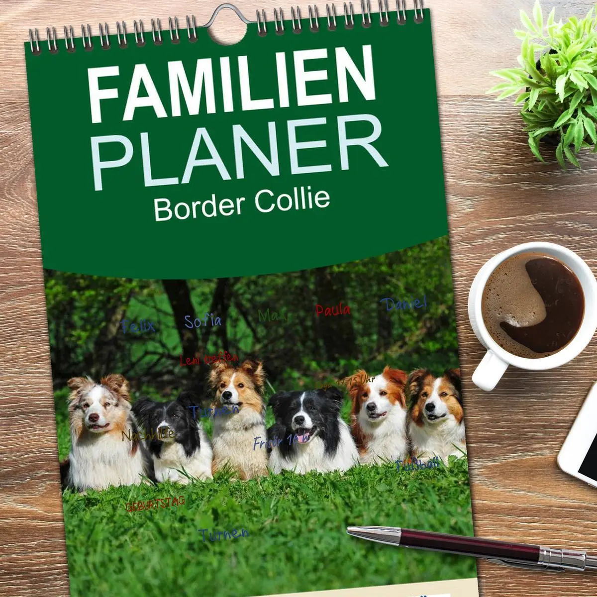 Bild: 9783516515411 | Familienplaner 2026 - Border Collie 2026 mit 5 Spalten...