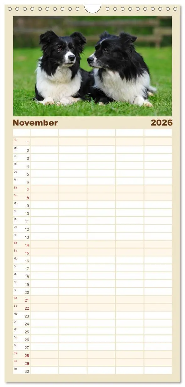 Bild: 9783516515411 | Familienplaner 2026 - Border Collie 2026 mit 5 Spalten...