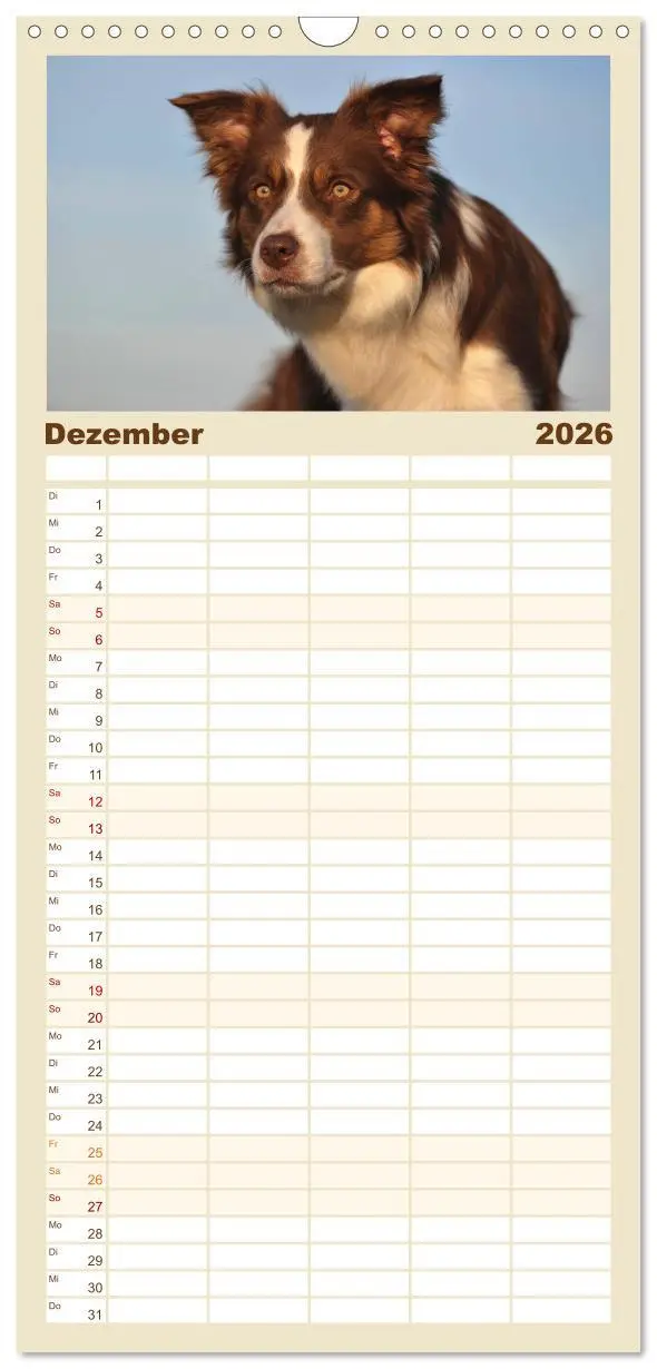 Bild: 9783516515411 | Familienplaner 2026 - Border Collie 2026 mit 5 Spalten...