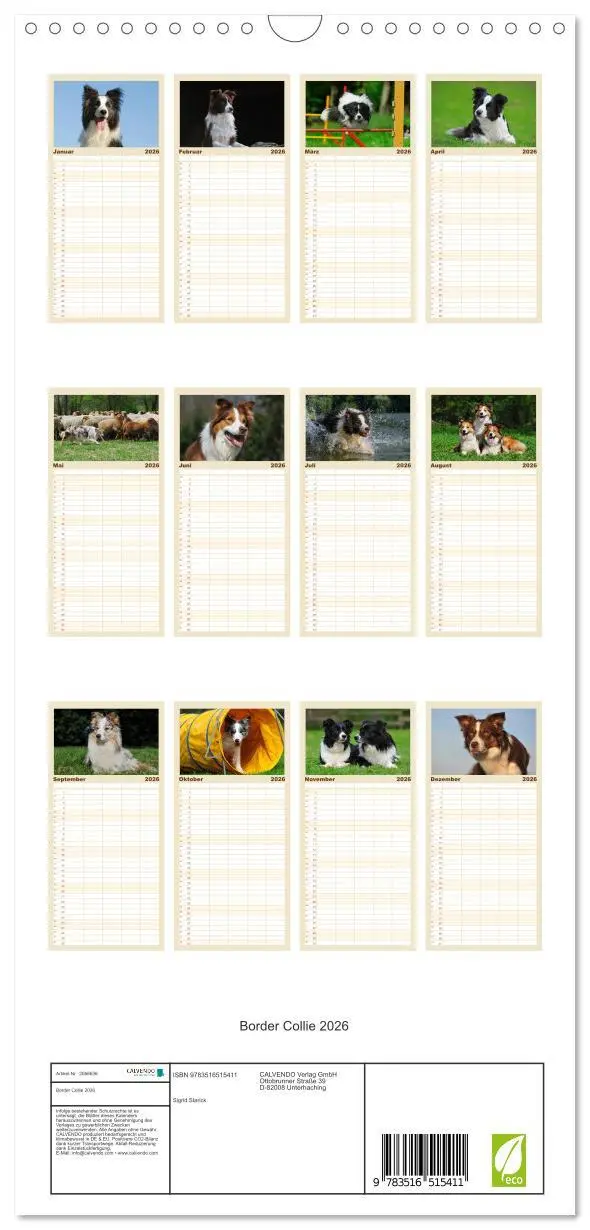 Bild: 9783516515411 | Familienplaner 2026 - Border Collie 2026 mit 5 Spalten...