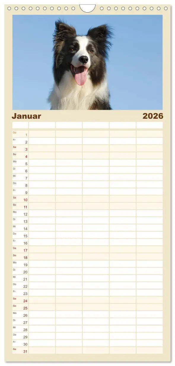 Bild: 9783516515411 | Familienplaner 2026 - Border Collie 2026 mit 5 Spalten...