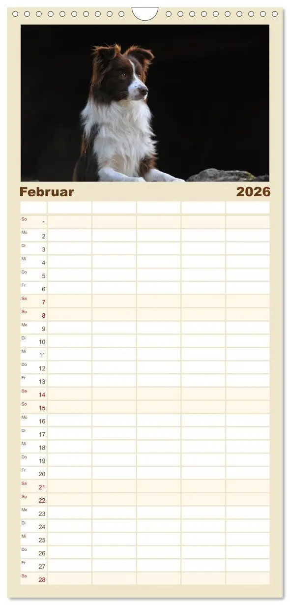 Bild: 9783516515411 | Familienplaner 2026 - Border Collie 2026 mit 5 Spalten...
