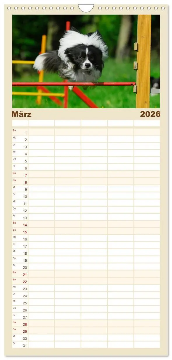Bild: 9783516515411 | Familienplaner 2026 - Border Collie 2026 mit 5 Spalten...