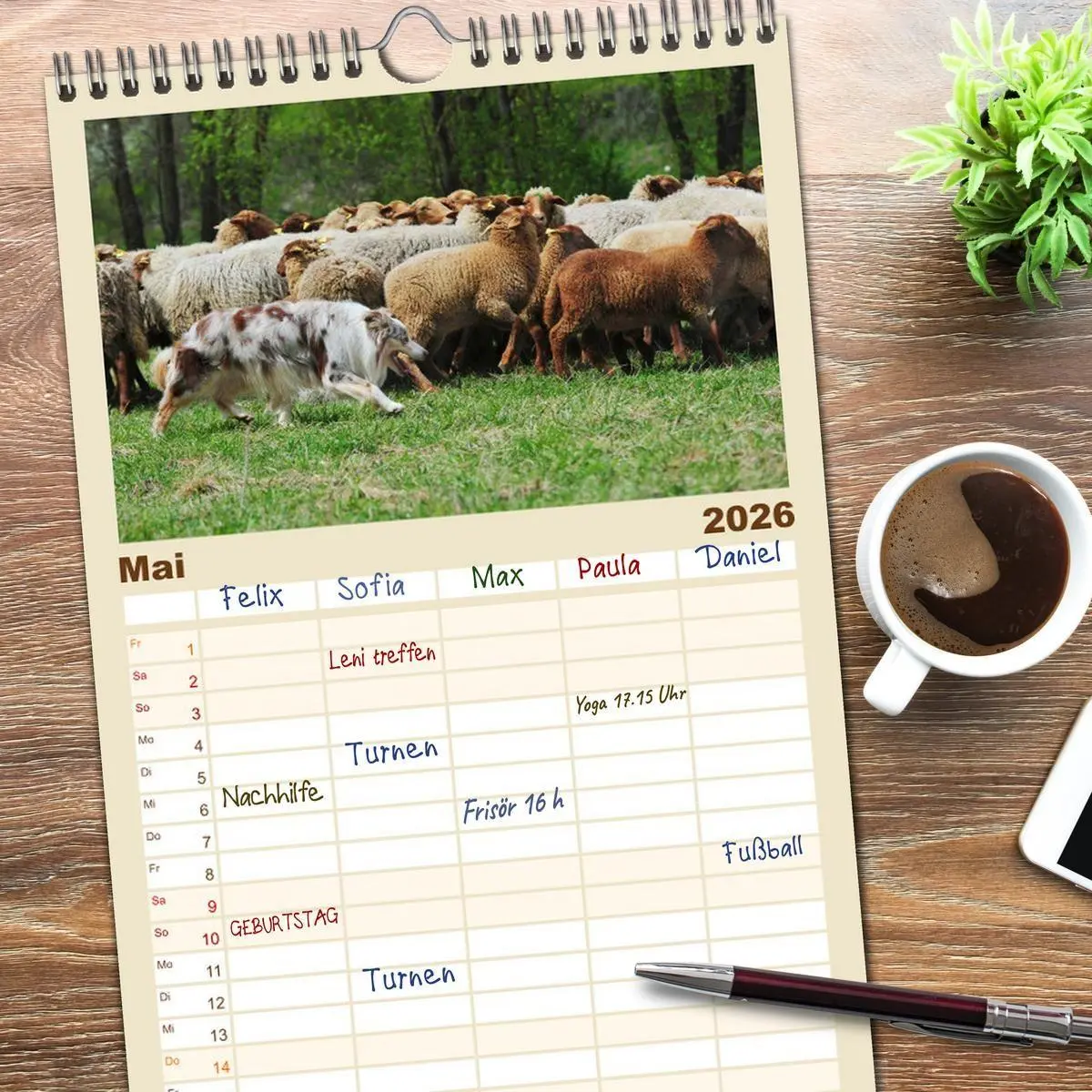 Bild: 9783516515411 | Familienplaner 2026 - Border Collie 2026 mit 5 Spalten...