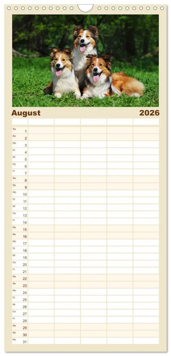 Bild: 9783516515411 | Familienplaner 2026 - Border Collie 2026 mit 5 Spalten...