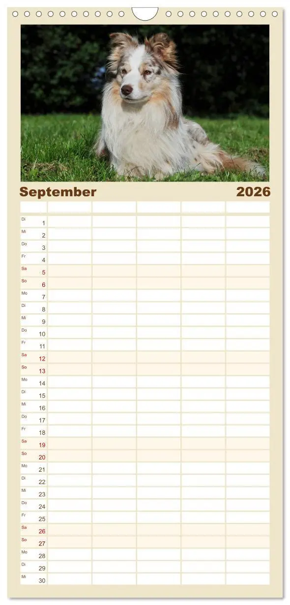 Bild: 9783516515411 | Familienplaner 2026 - Border Collie 2026 mit 5 Spalten...