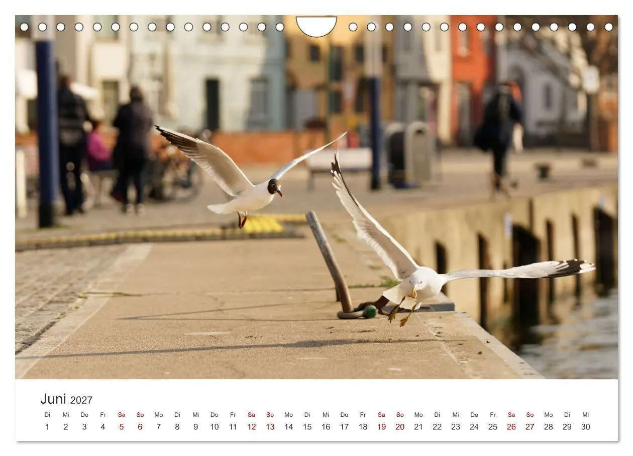 Bild: 9783569395411 | Unser schönes Wismar (Wandkalender 2027 DIN A4 quer), CALVENDO...