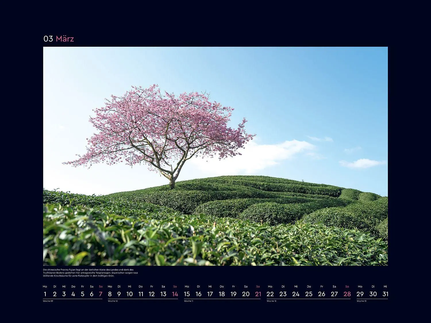Bild: 9783965915411 | Aufgeblüht - KUNTH Wandkalender 2027 | Kalender | 14 S. | Deutsch