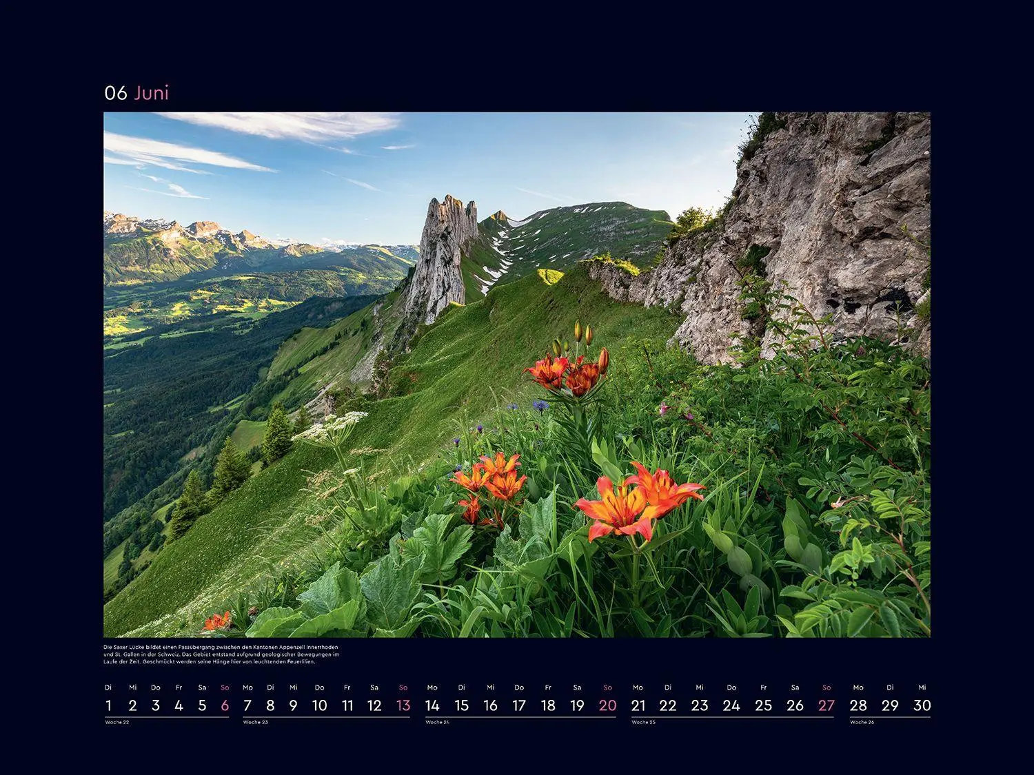 Bild: 9783965915411 | Aufgeblüht - KUNTH Wandkalender 2027 | Kalender | 14 S. | Deutsch