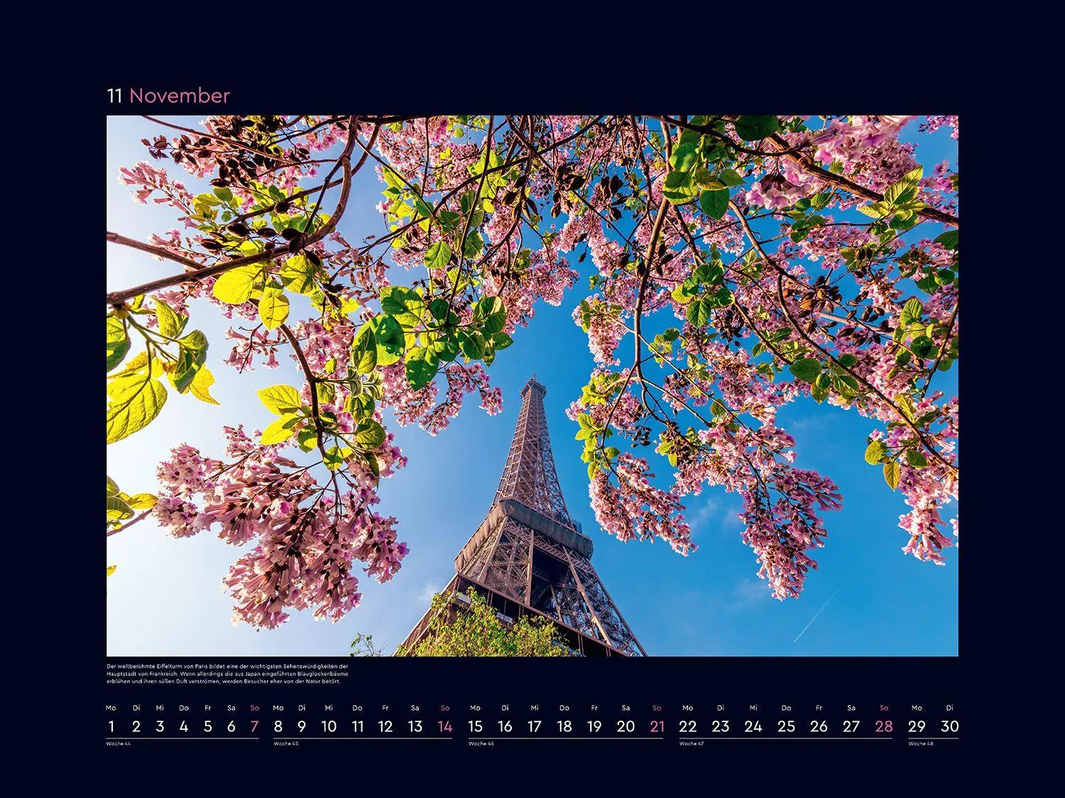 Bild: 9783965915411 | Aufgeblüht - KUNTH Wandkalender 2027 | Kalender | 14 S. | Deutsch