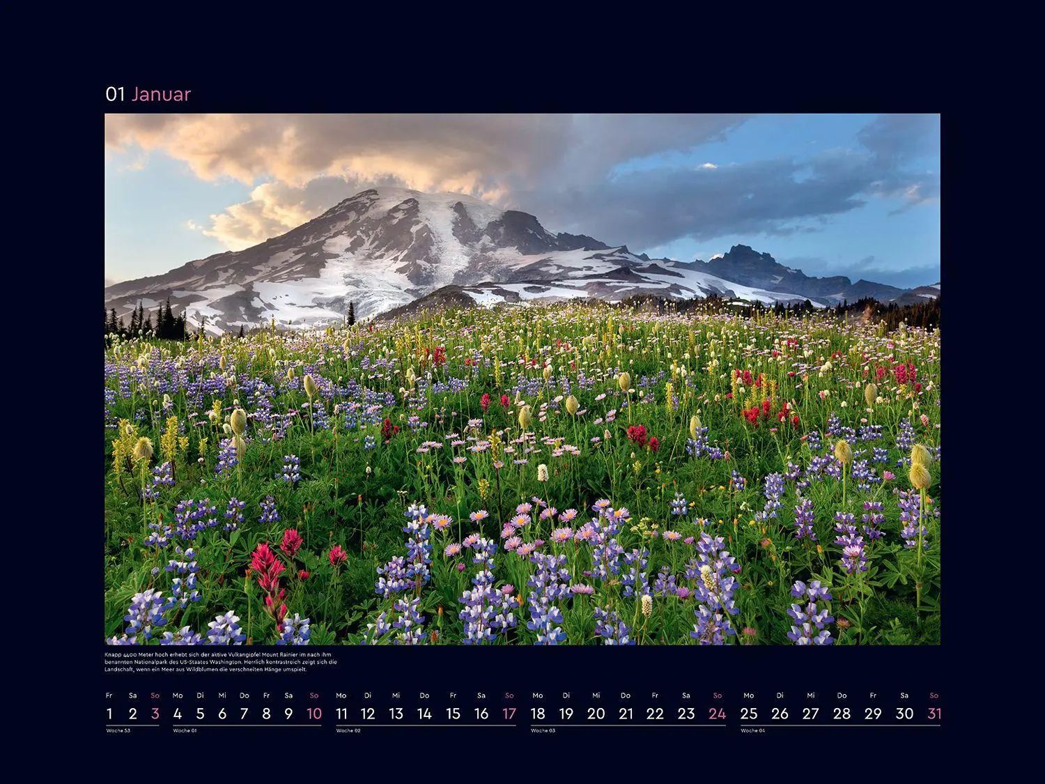 Bild: 9783965915411 | Aufgeblüht - KUNTH Wandkalender 2027 | Kalender | 14 S. | Deutsch