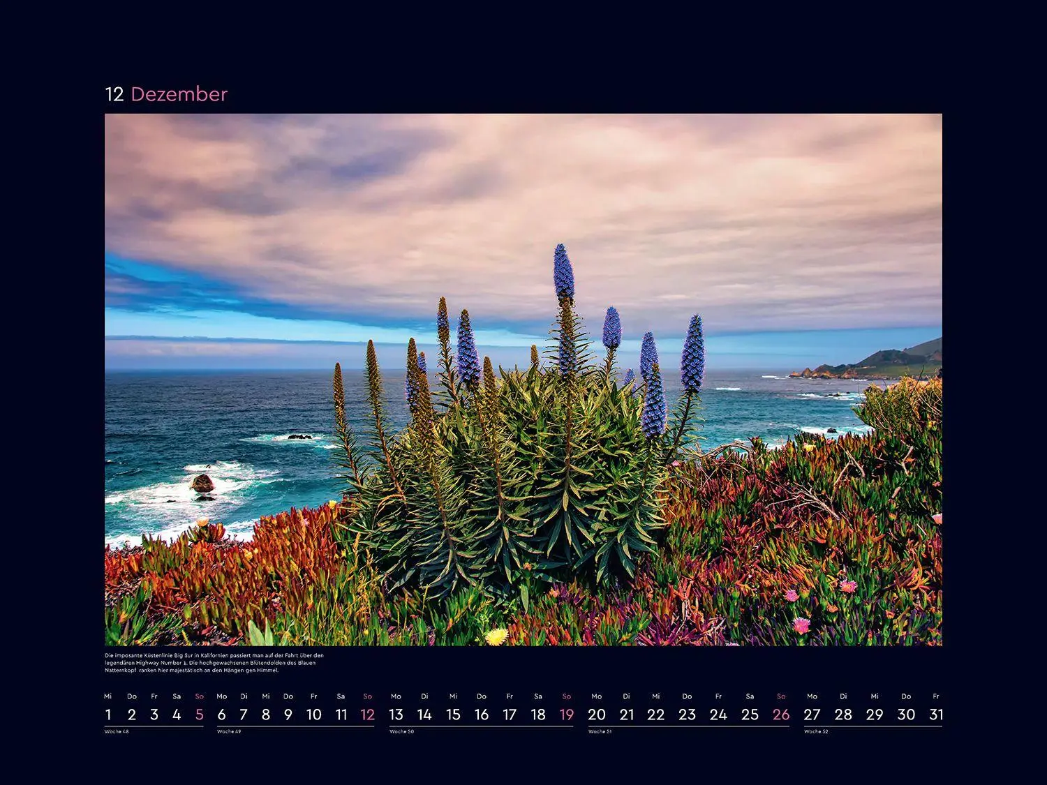 Bild: 9783965915411 | Aufgeblüht - KUNTH Wandkalender 2027 | Kalender | 14 S. | Deutsch