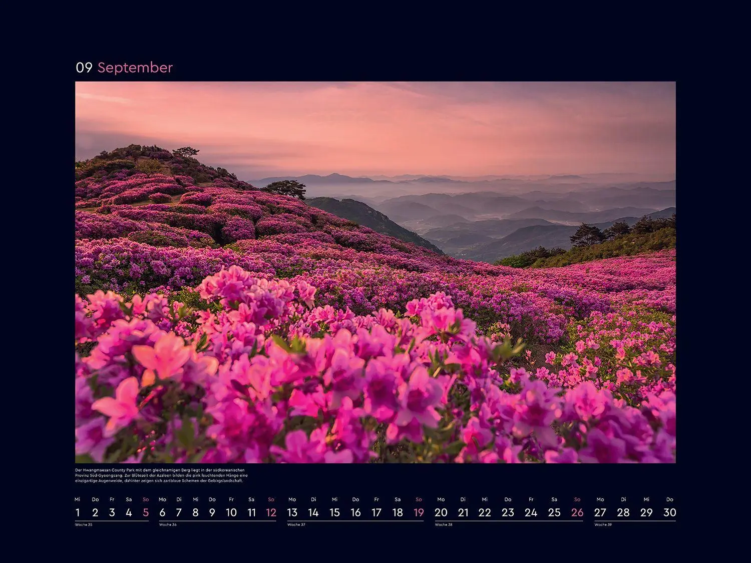 Bild: 9783965915411 | Aufgeblüht - KUNTH Wandkalender 2027 | Kalender | 14 S. | Deutsch