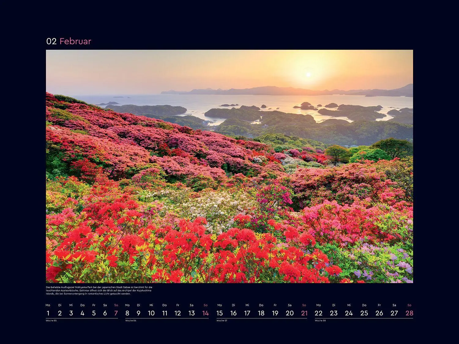 Bild: 9783965915411 | Aufgeblüht - KUNTH Wandkalender 2027 | Kalender | 14 S. | Deutsch