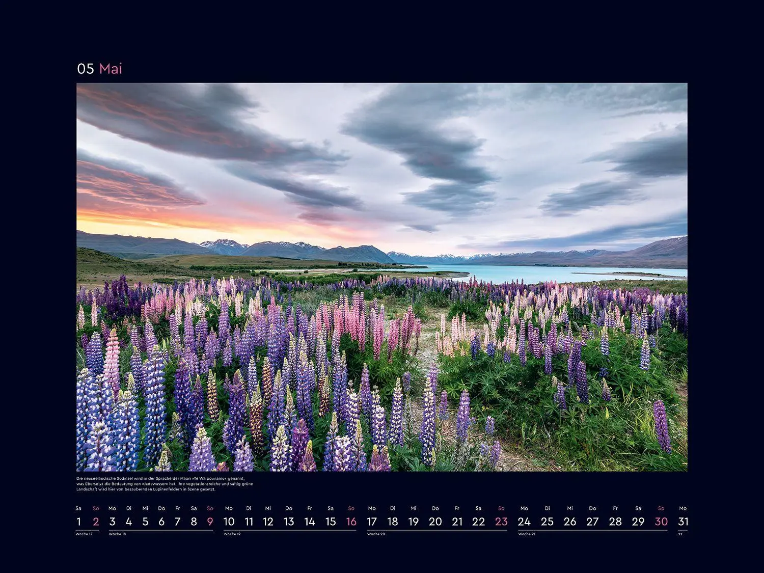 Bild: 9783965915411 | Aufgeblüht - KUNTH Wandkalender 2027 | Kalender | 14 S. | Deutsch