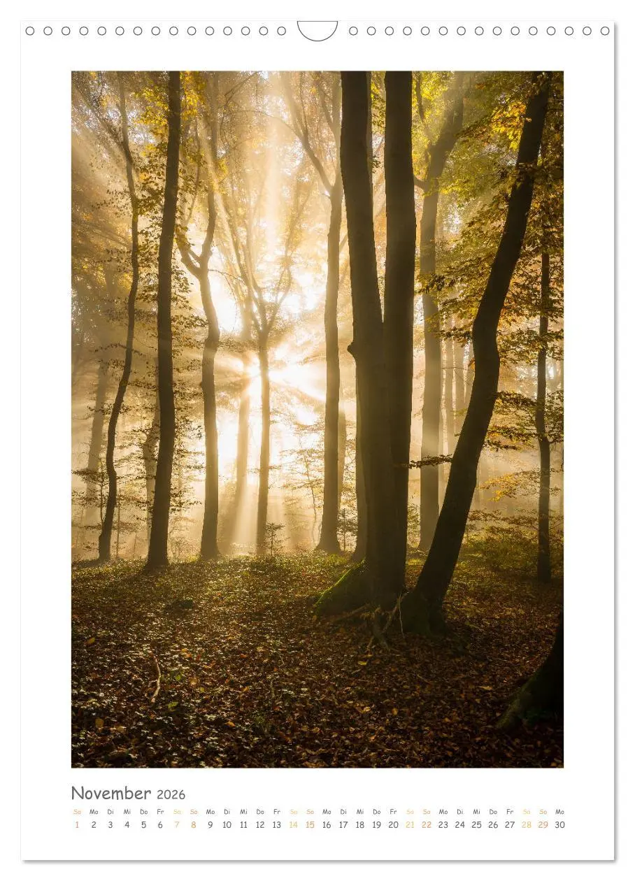 Bild: 9783457275511 | peaceful silence - einsame Landschaften (Wandkalender 2026 DIN A3...