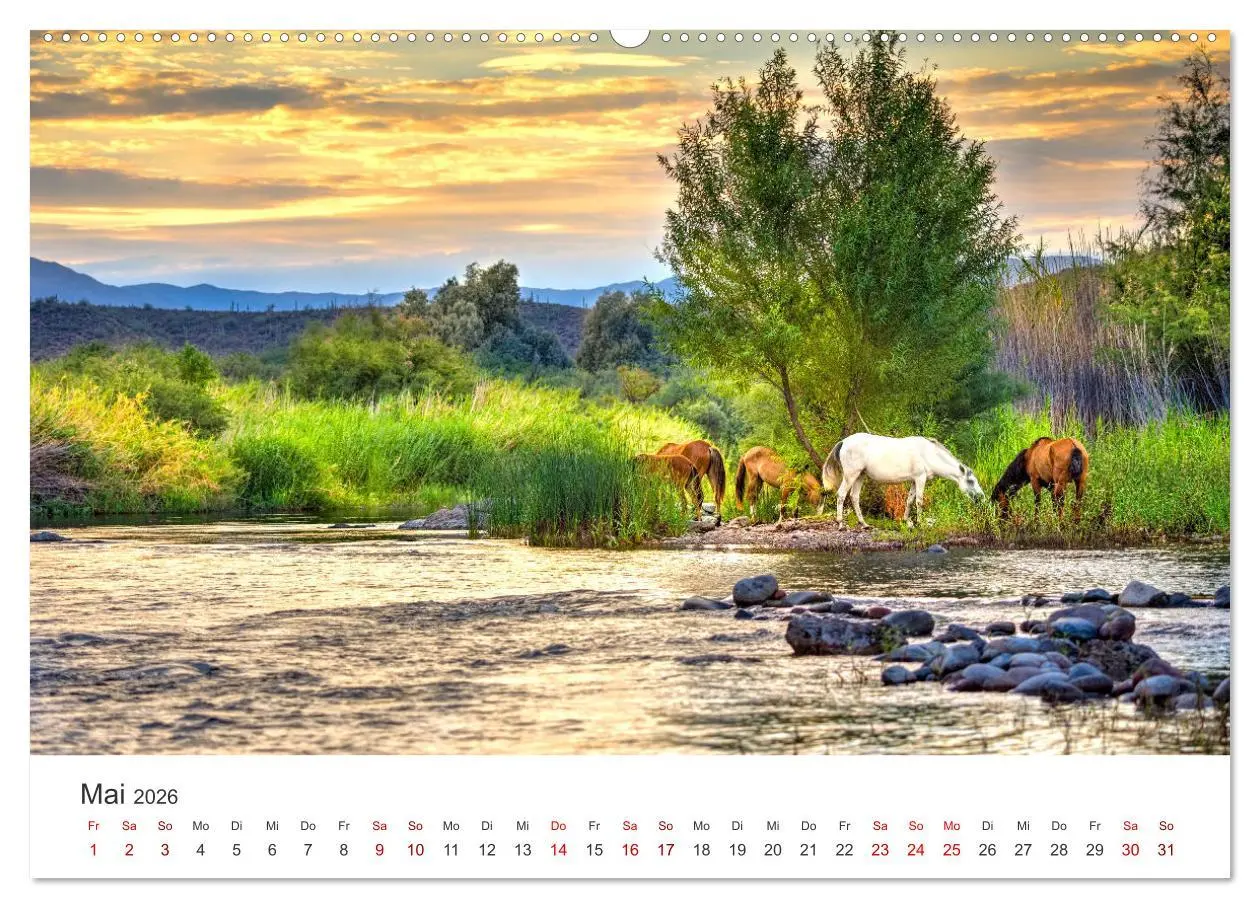 Bild: 9783457415511 | Freiheitsliebende Wildpferde (hochwertiger Premium Wandkalender...