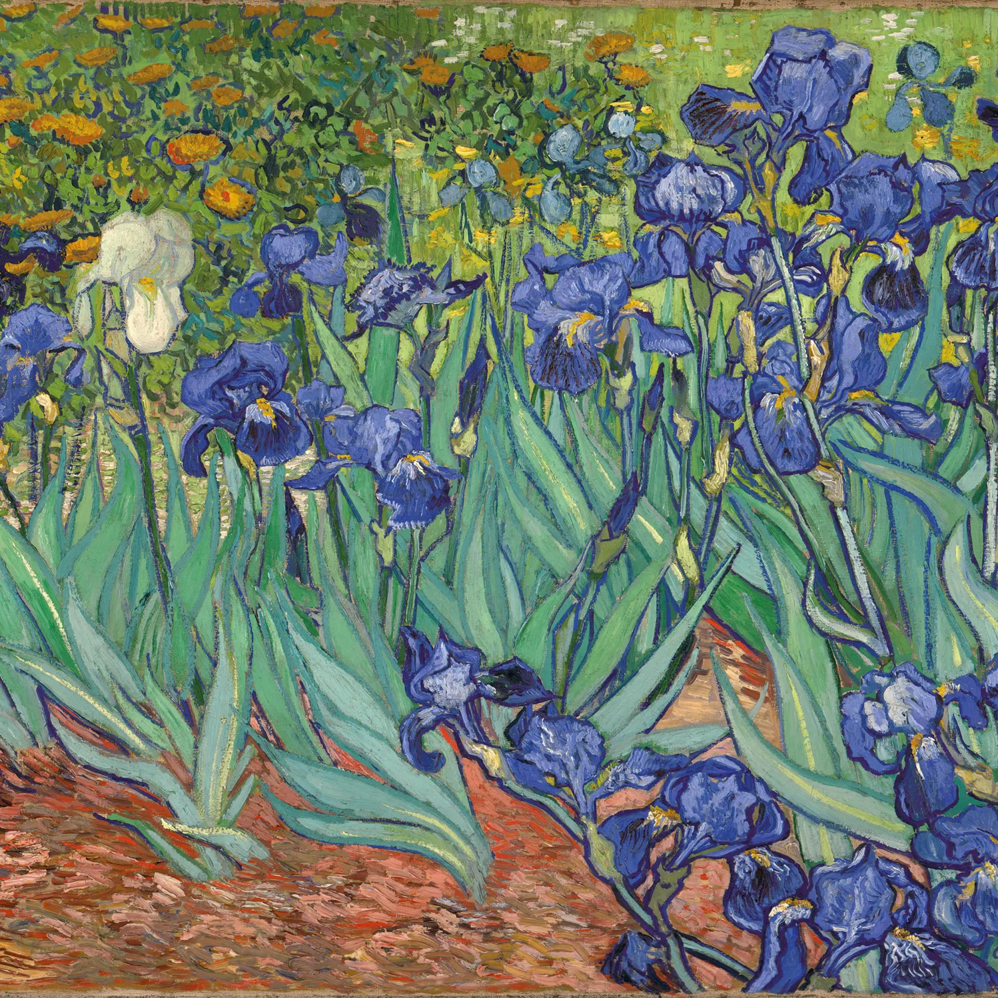 Bild: 9783959295611 | van Gogh - From Vincent's Garden 2026 | Kalender 2026 | Kalender