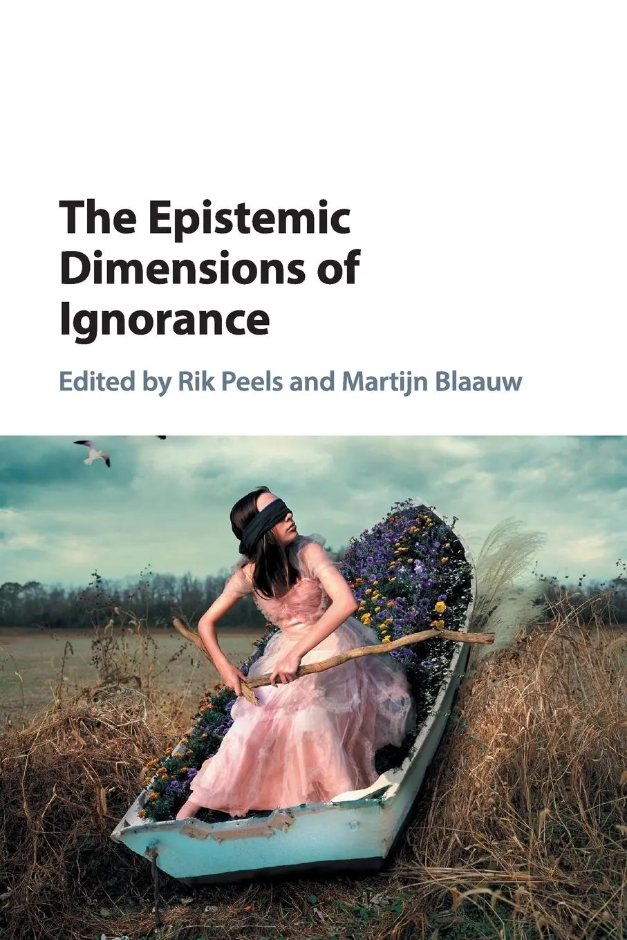 Cover: 9781316625811 | The Epistemic Dimensions of Ignorance | Rik Peels (u. a.) | Buch