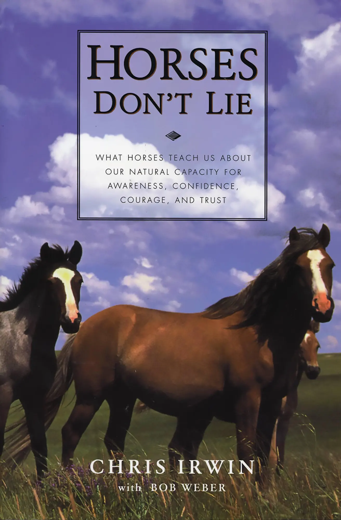 Cover: 9781569245811 | Horses Don't Lie | Chris Irwin | Taschenbuch | Kartoniert / Broschiert