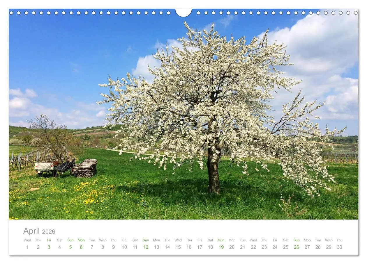 Bild: 9783516565911 | Touring Austria (Wall Calendar 2026 DIN A3 landscape), CALVENDO 12...