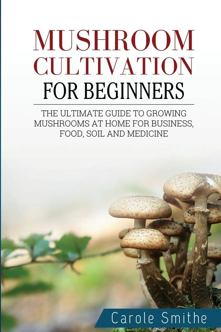 Cover: 9781778186011 | Mushroom cultivation for beginners | Carole Smithe | Taschenbuch