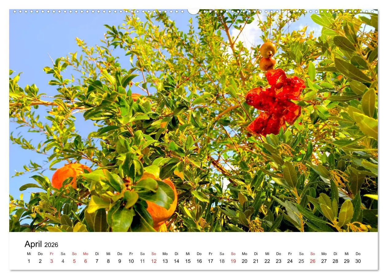 Bild: 9783457676011 | Wandern auf Menorca (hochwertiger Premium Wandkalender 2026 DIN A2...