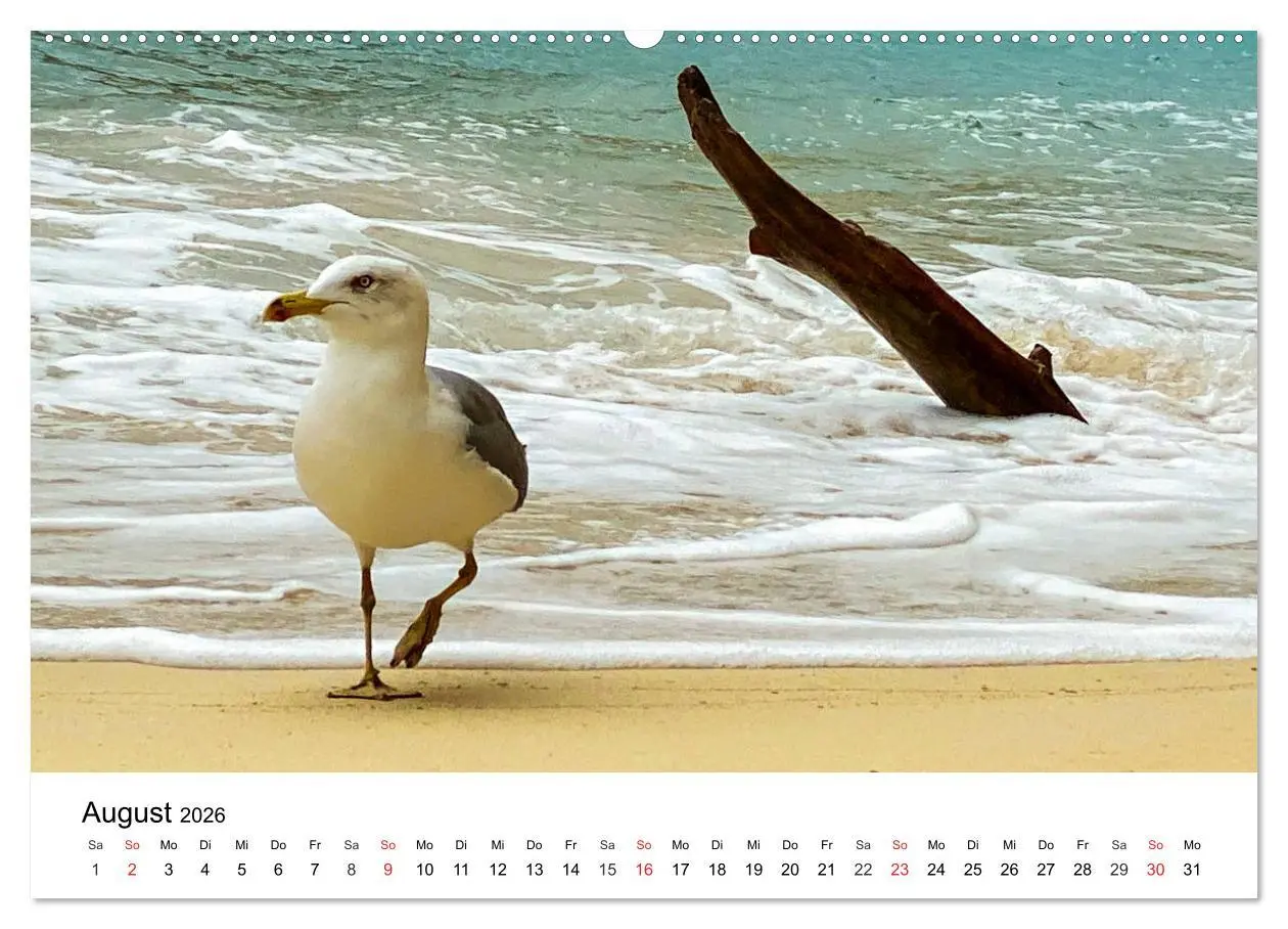 Bild: 9783457676011 | Wandern auf Menorca (hochwertiger Premium Wandkalender 2026 DIN A2...