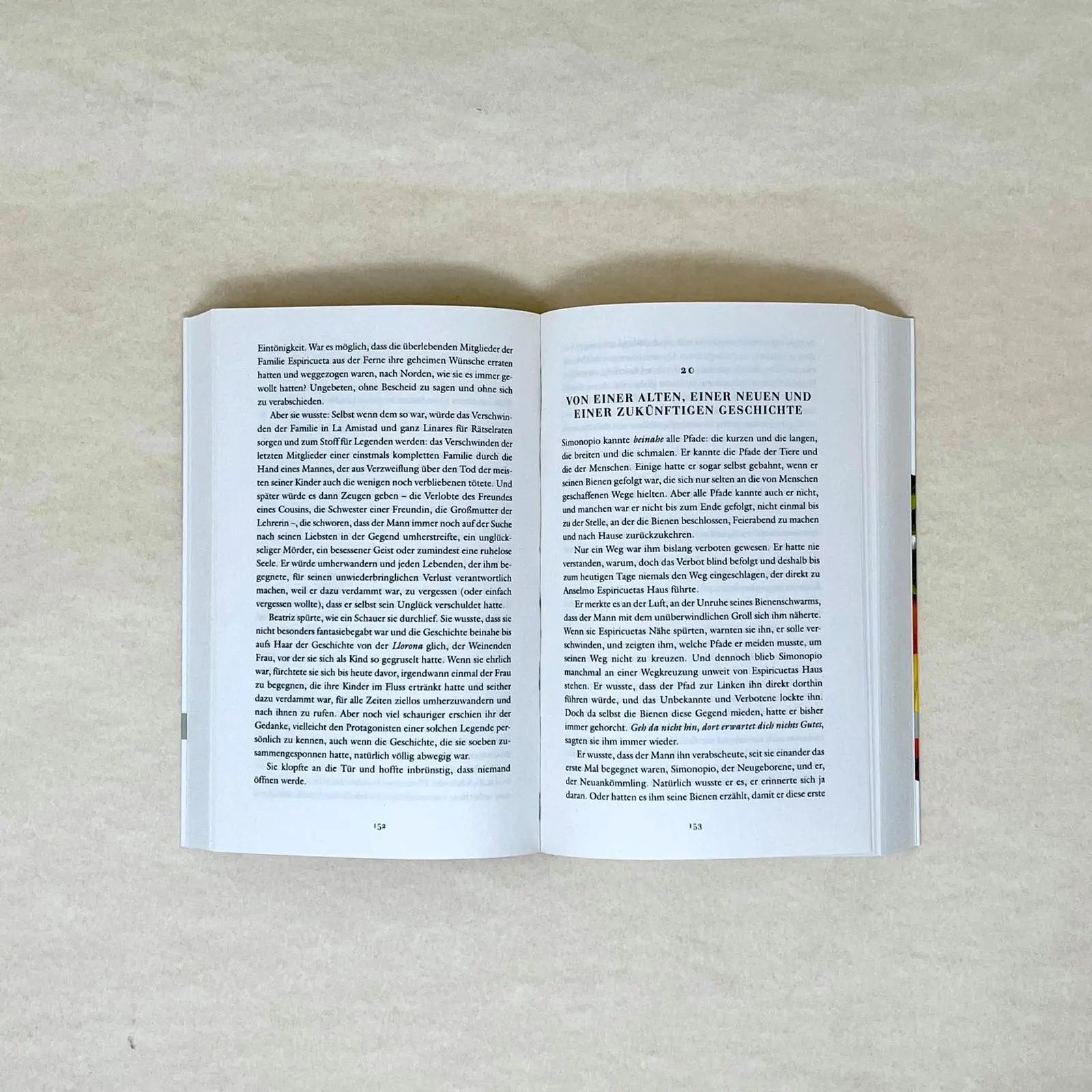 Bild: 9783548066011 | Das Flüstern der Bienen | Sofía Segovia | Taschenbuch | 480 S. | 2022