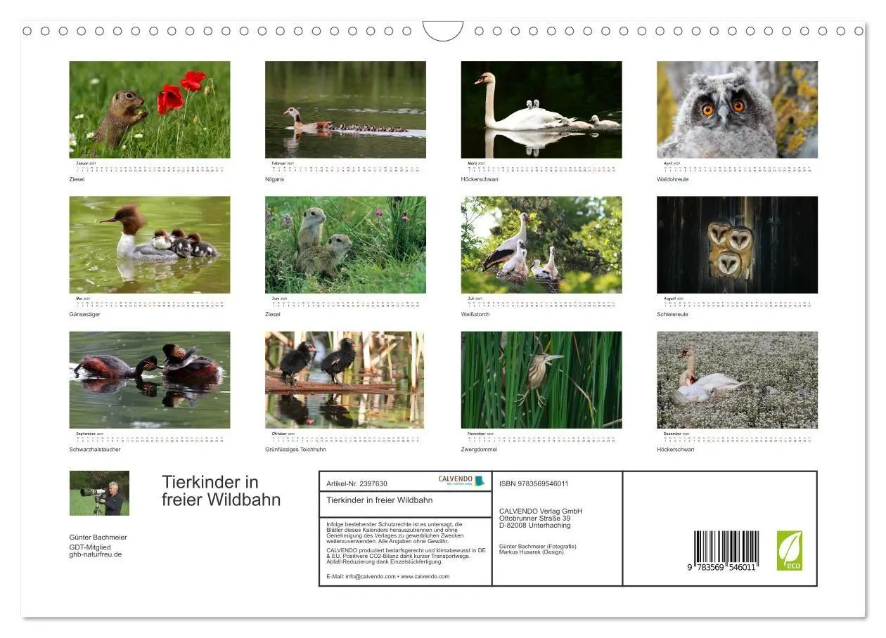 Bild: 9783569546011 | Tierkinder in freier Wildbahn (Wandkalender 2027 DIN A3 quer),...