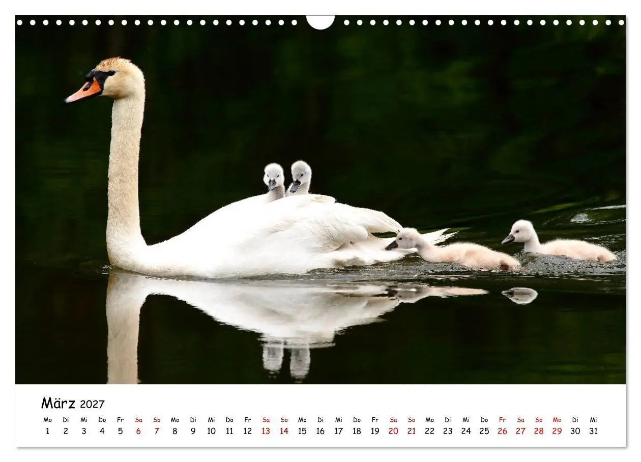Bild: 9783569546011 | Tierkinder in freier Wildbahn (Wandkalender 2027 DIN A3 quer),...