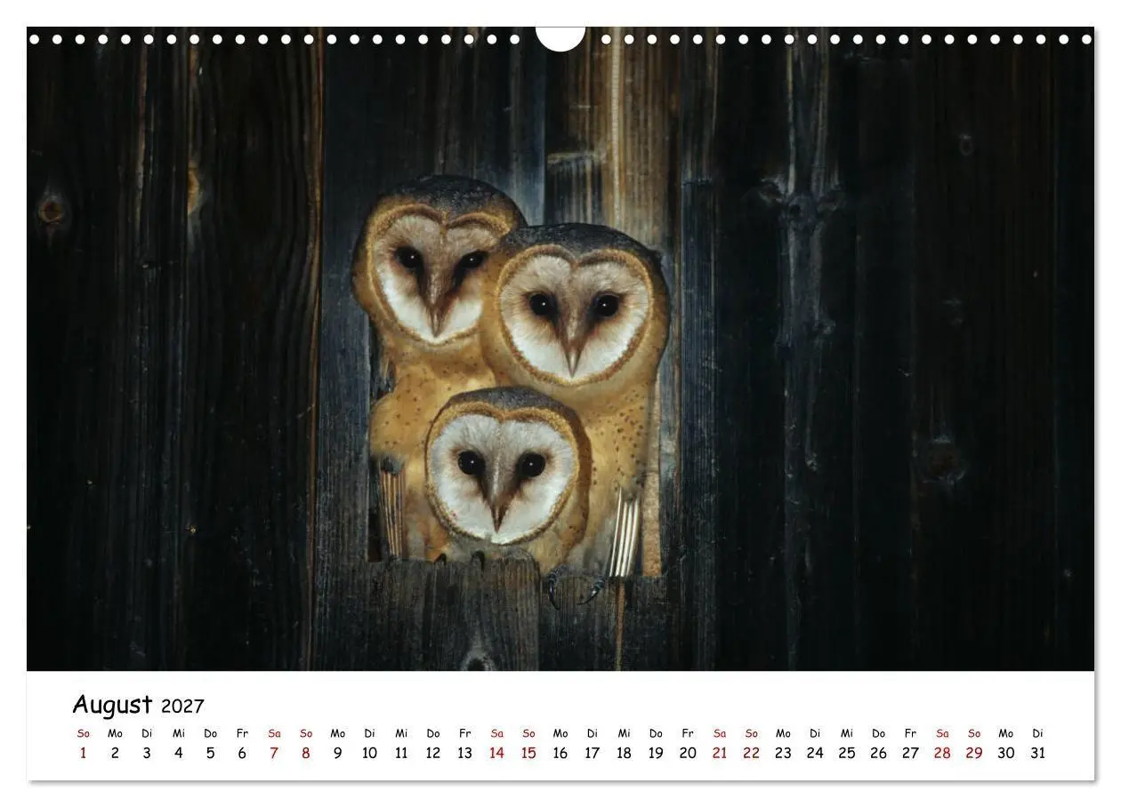 Bild: 9783569546011 | Tierkinder in freier Wildbahn (Wandkalender 2027 DIN A3 quer),...