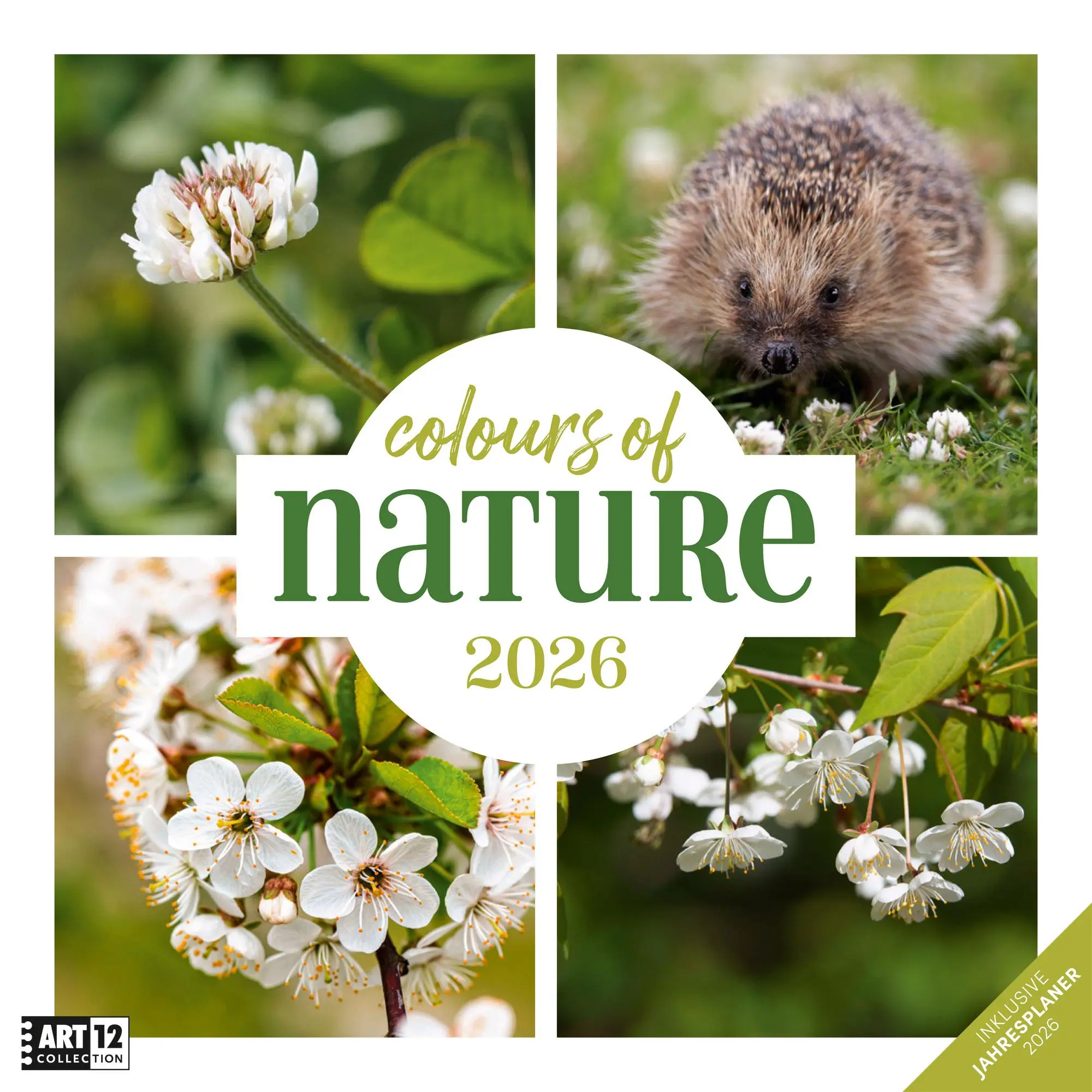 Cover: 9783838446011 | Colours of Nature Broschürenkalender 2026 - 30x30 - Art12 | GmbH