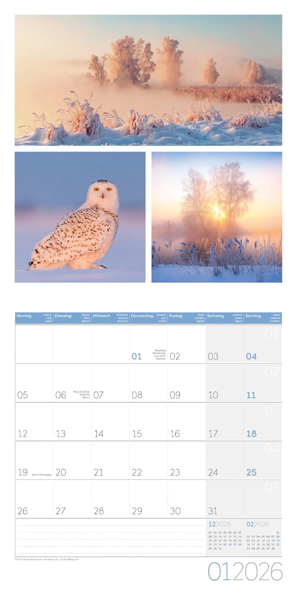 Bild: 9783838446011 | Colours of Nature Broschürenkalender 2026 - 30x30 - Art12 | GmbH