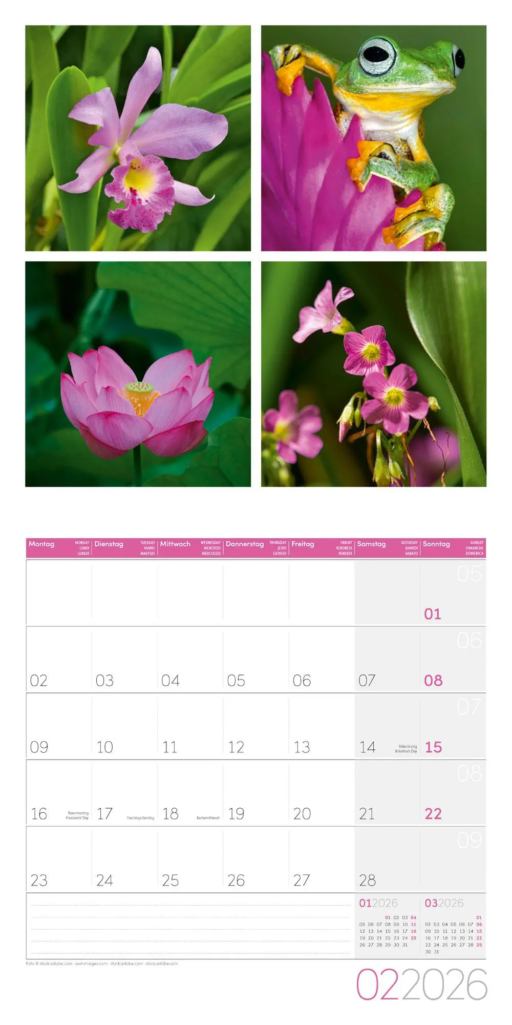 Bild: 9783838446011 | Colours of Nature Broschürenkalender 2026 - 30x30 - Art12 | GmbH