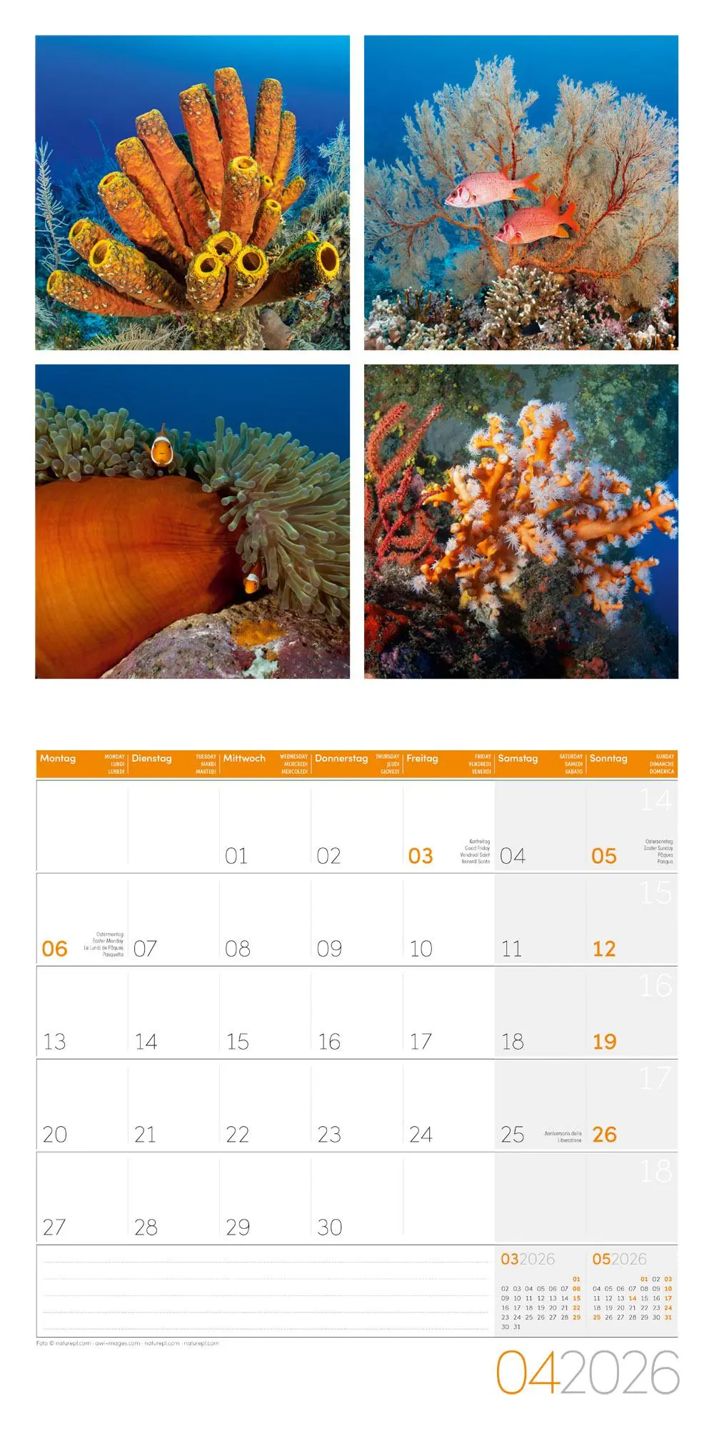 Bild: 9783838446011 | Colours of Nature Broschürenkalender 2026 - 30x30 - Art12 | GmbH